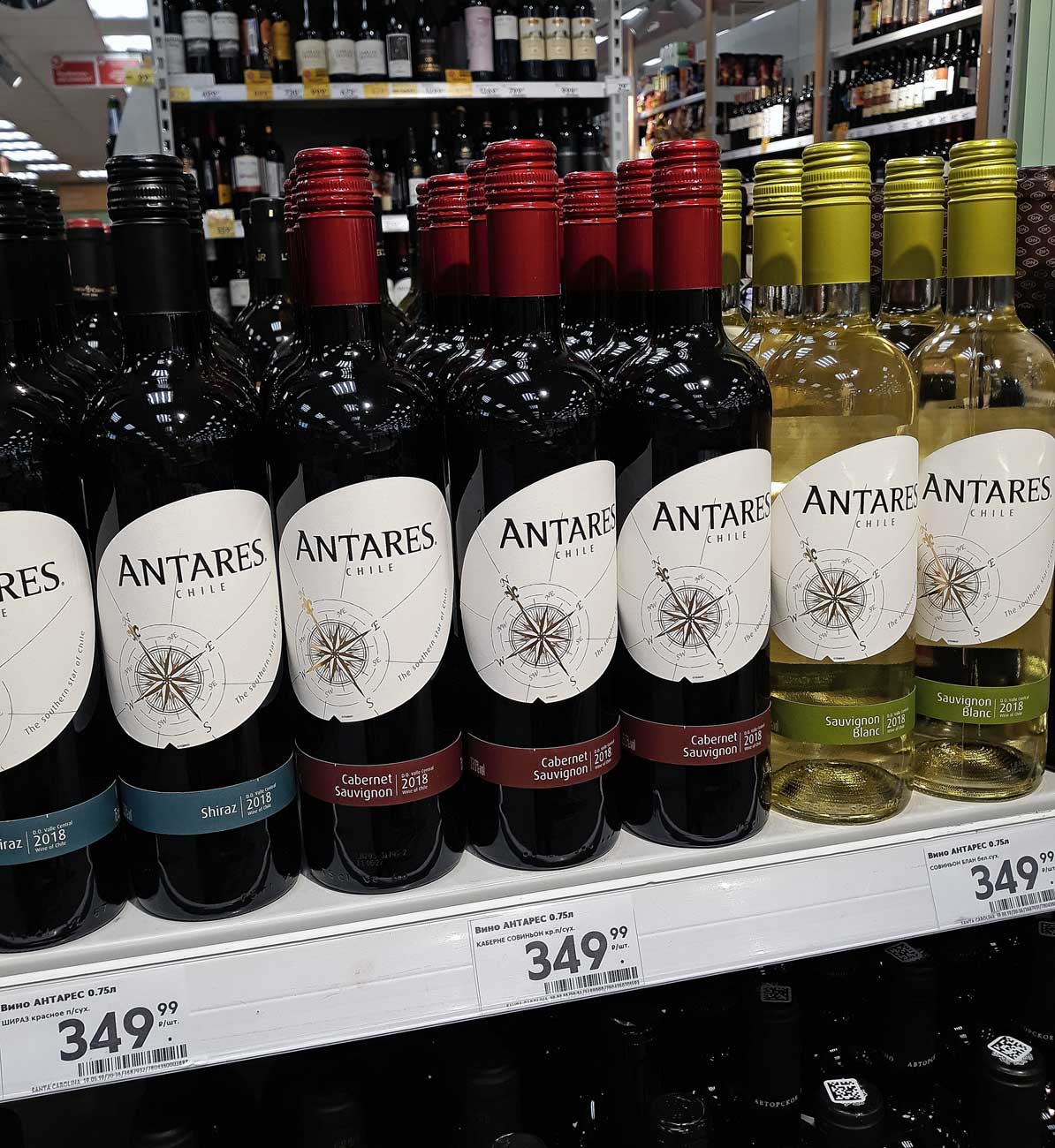 Вино в пятерке. Вино Антарес Шираз. Antares Shiraz вино Пятерочка. Antares вино белое. Шираз вино Чили.
