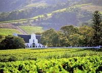 Обзоры от Виноголика. Groot Constantia - одна из старейших виноделен ЮАР, основана в 1685 году