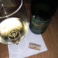 вино Sangre de Toro Chardonnay Selection