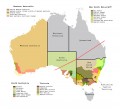 Винные регионы Австралии